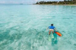 In-Water Tow Float 12 In-Water Tow Float -Aqua Shop canstockphoto66760341